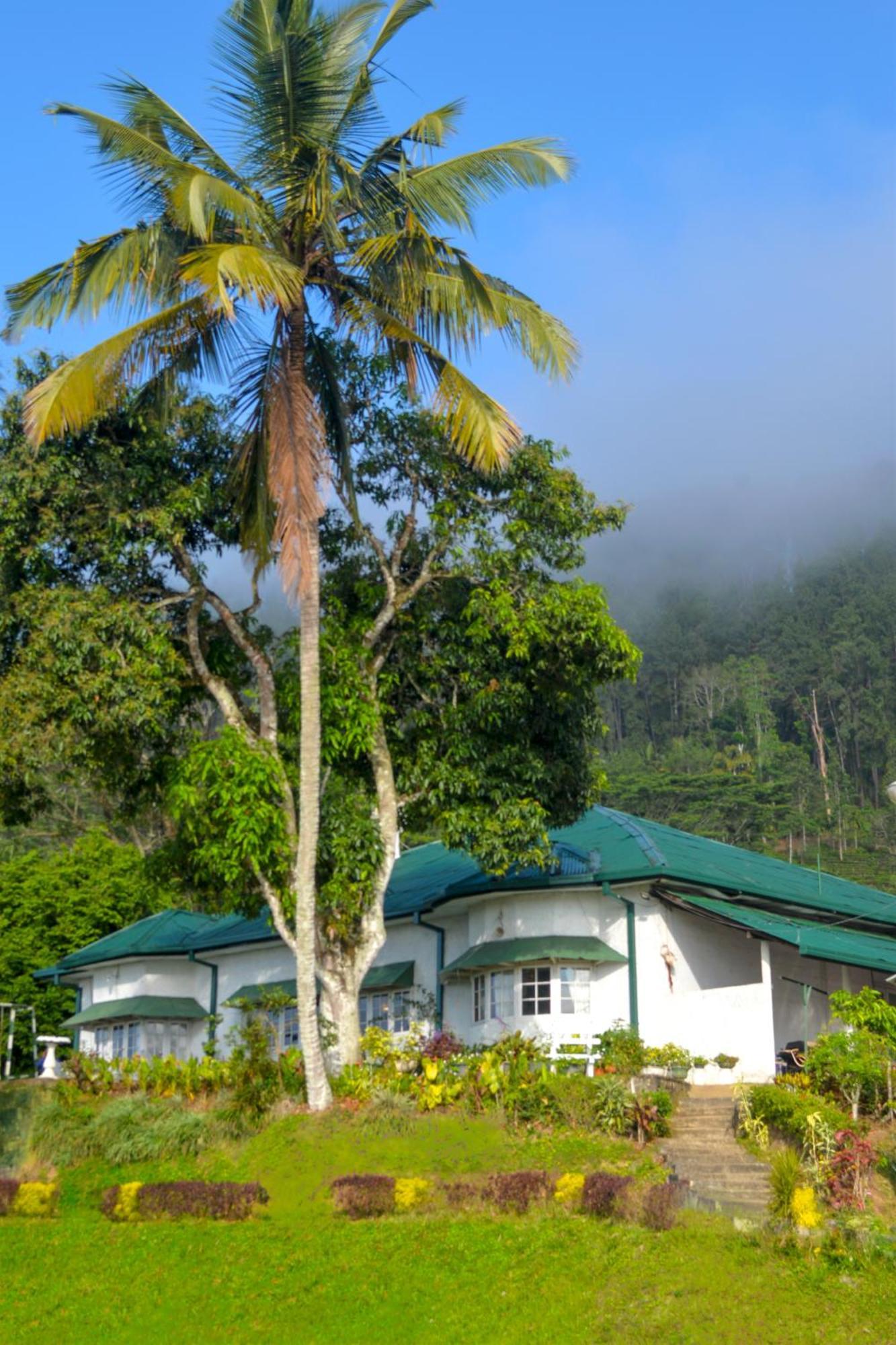 Hatale Tea Estate Bungalow Madulkele Extérieur photo