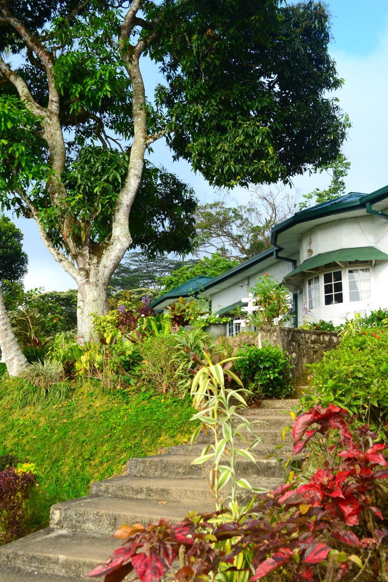 Hatale Tea Estate Bungalow Madulkele Extérieur photo