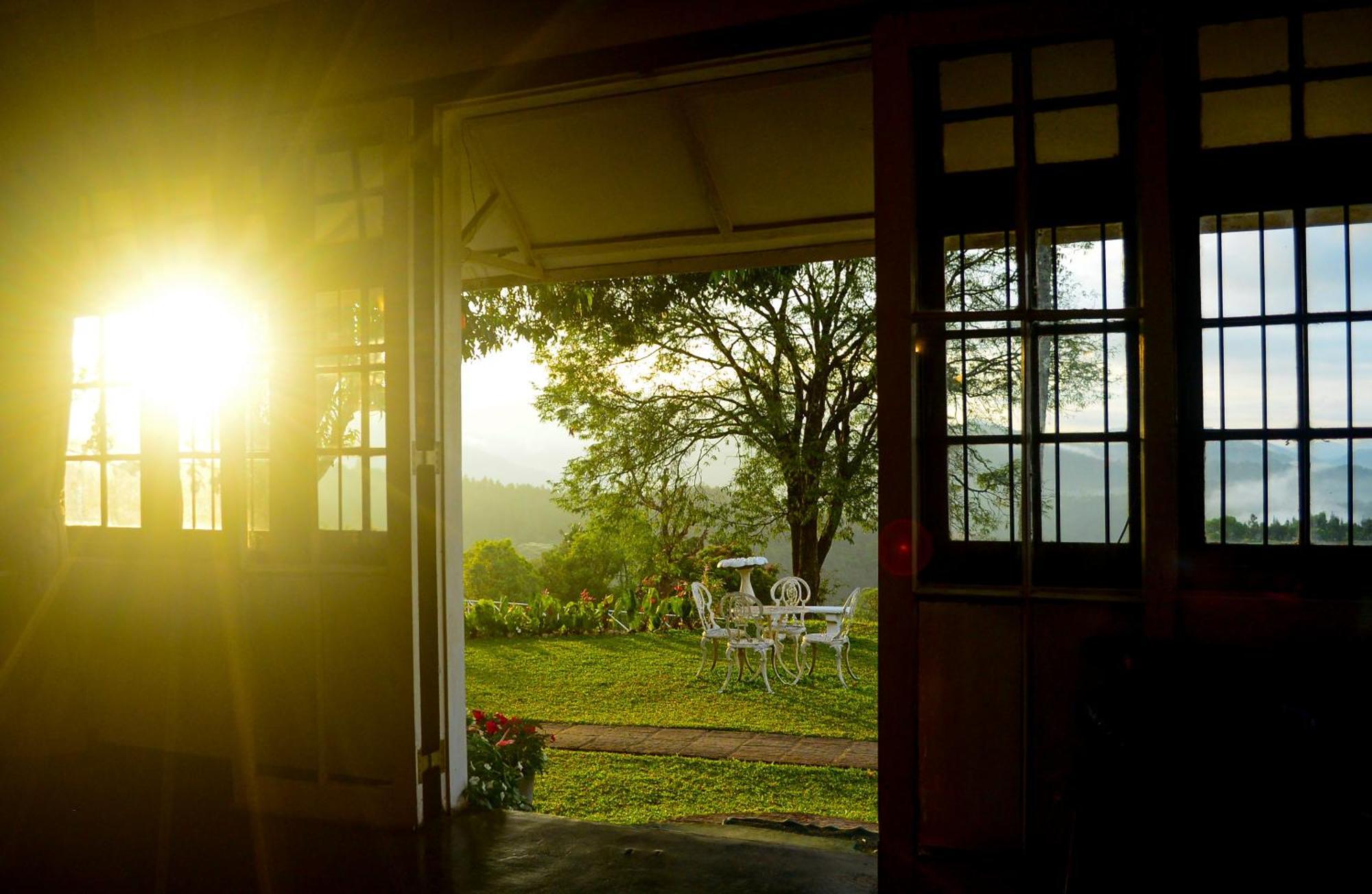 Hatale Tea Estate Bungalow Madulkele Extérieur photo